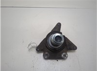 430190028R Ступица (кулак, цапфа) Renault Scenic 2012-2016 20248021 #3