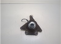430180834R Ступица (кулак, цапфа) Renault Scenic 2012-2016 20248026 #3