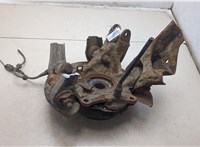  Ступица (кулак, цапфа) Volkswagen Touareg 2002-2007 20248057 #4