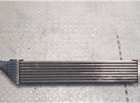  Радиатор интеркулера Dodge Journey 2008-2011 20248356 #4