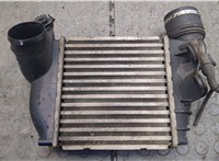  Радиатор интеркулера Skoda Octavia Tour 2000-2010 20248402 #1