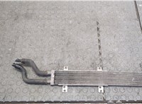 Радиатор масляный Audi A8 (D3) 2002-2005 20248493 #2