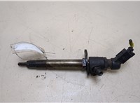  Форсунка топливная Land Rover Range Rover Sport 2005-2009 20248505 #1