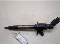  Форсунка топливная Land Rover Range Rover Sport 2005-2009 20248506 #1