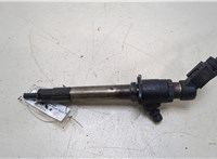  Форсунка топливная Land Rover Range Rover Sport 2005-2009 20248510 #1
