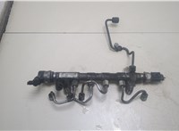 03L130089P Рампа (рейка) топливная Skoda Yeti 2009-2014 20248751 #1