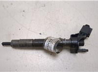 A6420701187 Форсунка топливная Mercedes E W212 2009-2013 20249009 #1