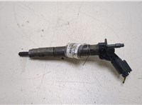A6420701187 Форсунка топливная Mercedes E W212 2009-2013 20249011 #1
