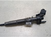 A6420701187 Форсунка топливная Mercedes E W212 2009-2013 20249012 #1