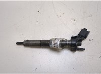 A6420701187 Форсунка топливная Mercedes E W212 2009-2013 20249013 #1