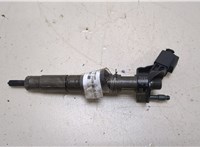 A6420701187 Форсунка топливная Mercedes E W212 2009-2013 20249016 #1