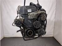  Двигатель (ДВС) Ford Fiesta 2001-2007 20249233 #1