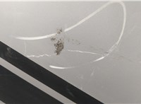  Форсунка омывателя стекла Renault Megane 3 2009-2016 11328650 #2
