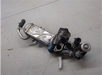 11725504 Клапан рециркуляции газов (EGR) Audi A3 (8P) 2003-2013 20249413 #6