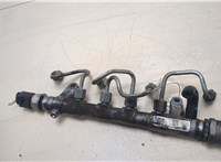 03L130089P Рампа (рейка) топливная Audi A3 (8P) 2008-2013 20249428 #5