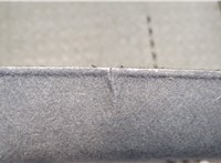  Полка багажника Ford Focus 2 2008-2011 20249518 #3