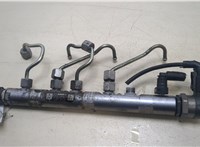  Рампа (рейка) топливная BMW 1 E87 2004-2011 20249727 #1