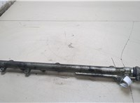 13537805726 Рампа (рейка) топливная BMW X5 E53 2000-2007 20249768 #1