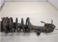  Амортизатор подвески KIA Sportage 2004-2010 20249852 #1