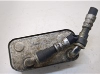  Теплообменник BMW X3 E83 2004-2010 20250015 #2