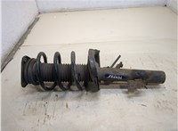  Амортизатор подвески Ford C-Max 2002-2010 20250080 #1