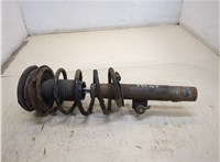  Амортизатор подвески Peugeot 406 1999-2004 20250087 #1