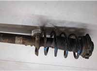 3C0413031M, 3C0411105M Амортизатор подвески Volkswagen Passat 6 2005-2010 20250170 #5