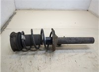  Амортизатор подвески Hyundai Santa Fe 2005-2012 20250195 #1