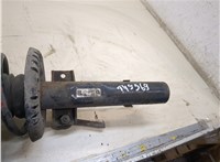  Амортизатор подвески Skoda Fabia 2010-2014 20250356 #4