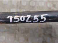  Стабилизатор подвески (поперечной устойчивости) Nissan X-Trail (T30) 2001-2006 20250582 #5