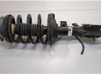  Амортизатор подвески Nissan Pathfinder 1996-2005 20250889 #1