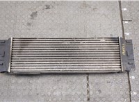  Радиатор интеркулера Mercedes Sprinter 2006-2014 20251319 #2