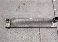  Радиатор интеркулера Mercedes Vito W639 2004-2013 20251364 #1