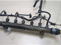  Рампа (рейка) топливная KIA Sportage 2004-2010 20251613 #1