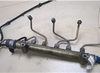  Рампа (рейка) топливная KIA Sportage 2004-2010 20251613 #4