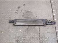  Радиатор масляный Ford Escape 2015-2019 20251716 #1