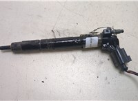  Форсунка топливная Volkswagen Passat 6 2005-2010 20251789 #1