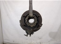 5010241876 Ступица (кулак, цапфа) Renault Midlum 1 1999-2006 20251892 #1
