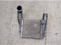  Радиатор интеркулера Audi A6 (C5) 1997-2004 20251895 #1