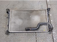  Радиатор охлаждения двигателя Ford Focus 1 1998-2004 20251905 #1