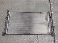  Радиатор охлаждения двигателя Ford C-Max 2002-2010 20251971 #1