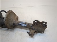  Амортизатор подвески Nissan X-Trail (T30) 2001-2006 20251983 #4