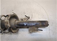  Амортизатор подвески Ford Focus 2 2008-2011 20251997 #3