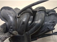 1511210, 2S6G9424DH, 1429840, 98MF9F593BC, 1804347, 5S6G9H487CB Коллектор впускной Ford Fusion 2002-2012 20252056 #5