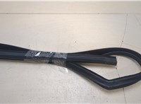  Уплотнитель Mercedes S W220 1998-2005 20252384 #3