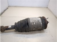  Амортизатор подвески Land Rover Discovery 3 2004-2009 20252416 #1