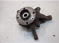  Ступица (кулак, цапфа) Renault Megane 1996-2002 20253037 #1