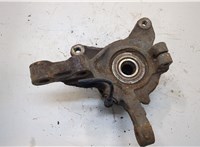 Ступица (кулак, цапфа) Renault Megane 1996-2002 20253037 #2