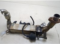  Охладитель отработанных газов BMW X3 E83 2004-2010 20253168 #1