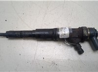 13537789661 Форсунка топливная BMW X5 E53 2000-2007 20253382 #1